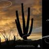 Az Public Media anniversary flier with silhouetted Saguaro and sunset photo