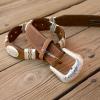 Leather belt on boardwalk